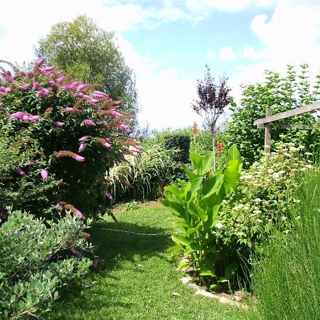 Le Bord De L'Eau Bed & Breakfast Sainte-Terre Eksteriør bilde