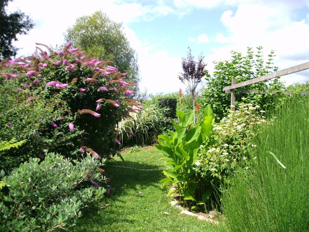 Le Bord De L'Eau Bed & Breakfast Sainte-Terre Eksteriør bilde